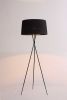 20 X 20 X 69 Black Carbon Floor Lamp