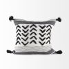 White And Gray Fringed Pillow Cover