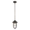 Antique Bronze Teardrop Shape Pendant Light