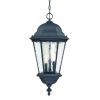 Telfair 3-Light Matte Black Hanging Light