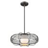 Loft 1-Light Oil-Rubbed Bronze Wire Globe Pendant With Etched Glass Interior Shade