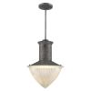 Skylar 1-Light Ash Pendant With Halophane Glass Shade