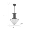Skylar 1-Light Ash Pendant With Halophane Glass Shade