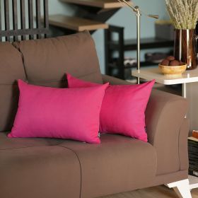 Set of 2 Fuchsia Pink Modern Lumbar Throw Pillows