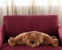 22" X 18" Brown Dog Throw Pillow