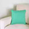 20" Aqua Cotton Throw Pillow