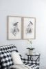 S/2 Bird Framed Print, 19.5x27.5"