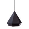 Black Lantern Metal Dimmable Ceiling Light With Black Shades
