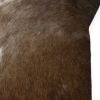 18" Natural Cowhide Throw Pillow